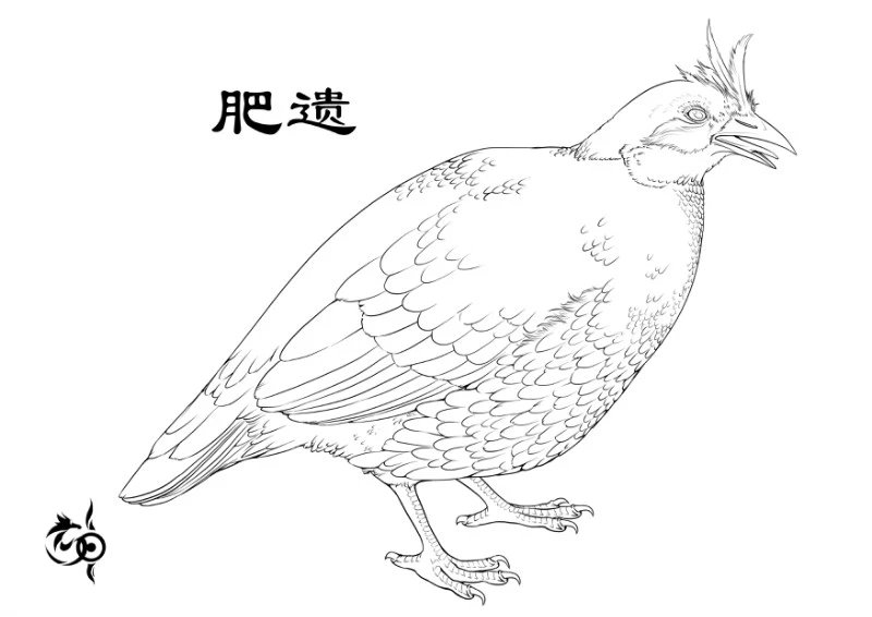 肥遗[鸟]-安全小百科