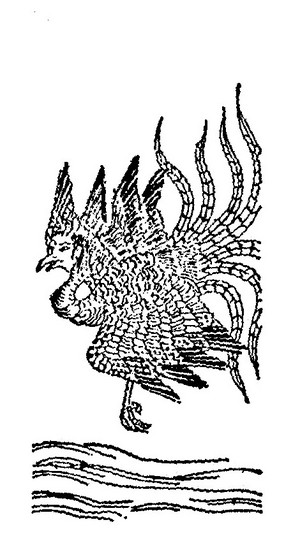 青鸐插图 青鸐插图
