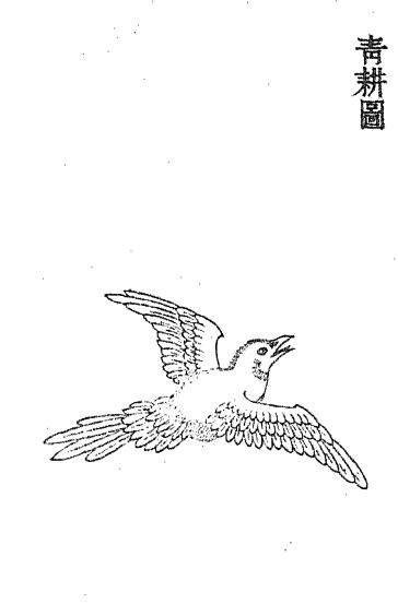 青耕-安全小百科