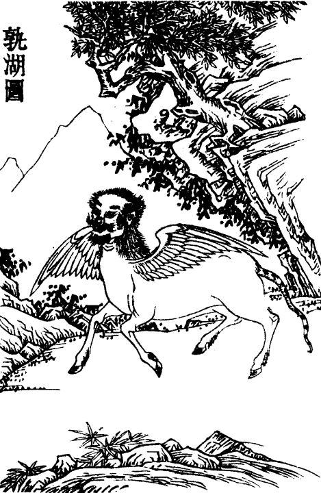 孰湖插图 孰湖插图