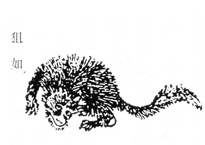 狙如-安全小百科