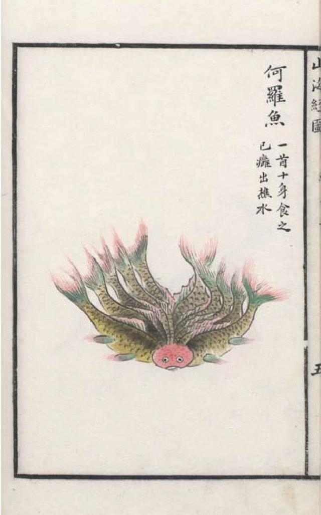 何罗鱼