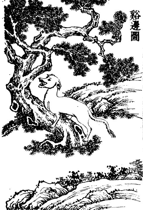 《山海经·西山经》 [天帝之山]有兽焉,其状如狗,名曰溪边,席其皮者不